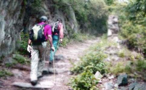 ��ɽ�����ģ���ѡ115ƪ��