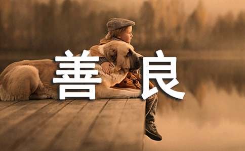 ���������ģ�������