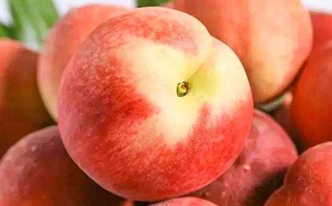 水蜜桃作文(精选75篇)